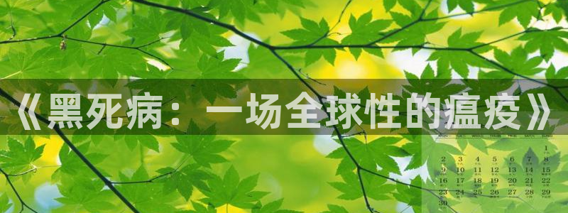 奇优影院在线观看手机