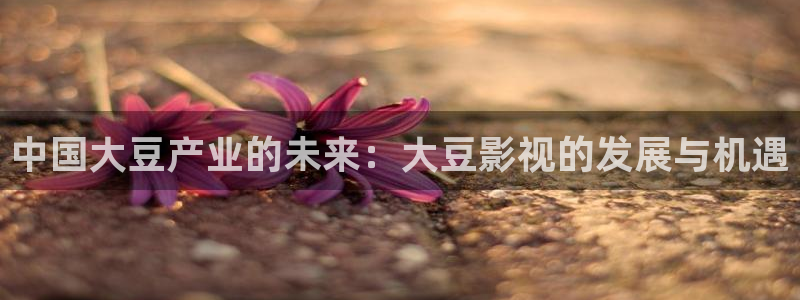 2025奇优影院电视剧高清免费观看