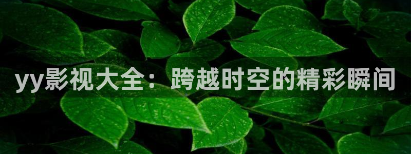 奇优影院手机板