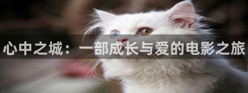 奇优影院电视剧免费观看入口有哪些?