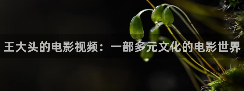 善良妈妈的朋友奇优影院