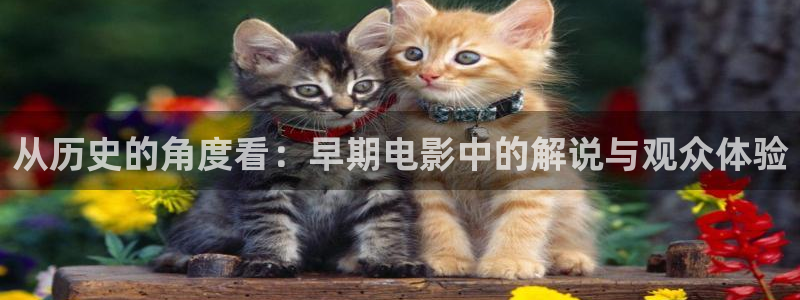 奇优影院手机高清
