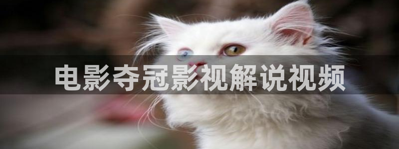 奇优影院手机版电视剧高清大片