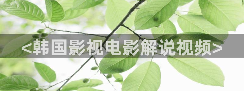 奇优影院手机版免费高清
