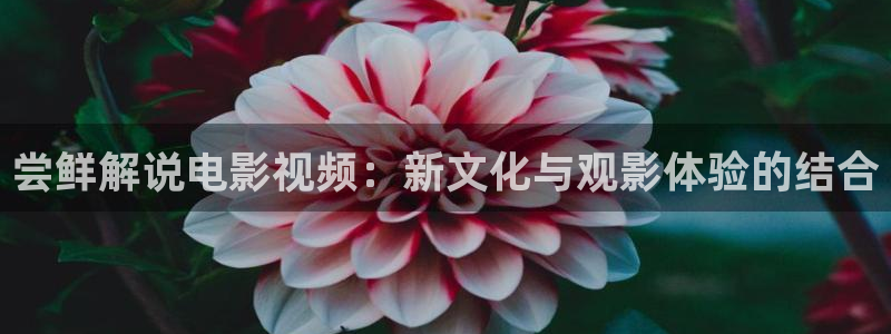 奇优影视在线观看免费播放电视剧