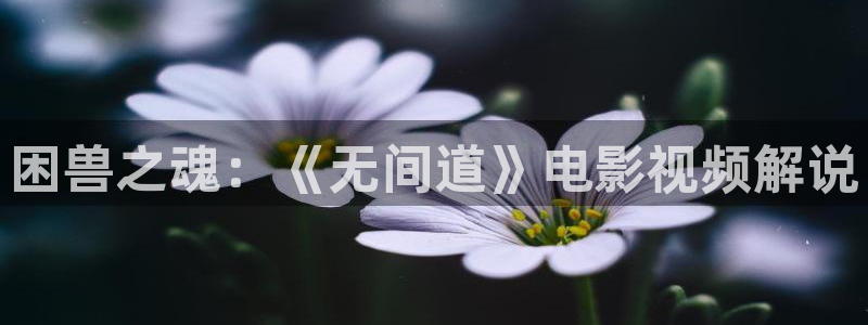 奇优影院手机218在线影视