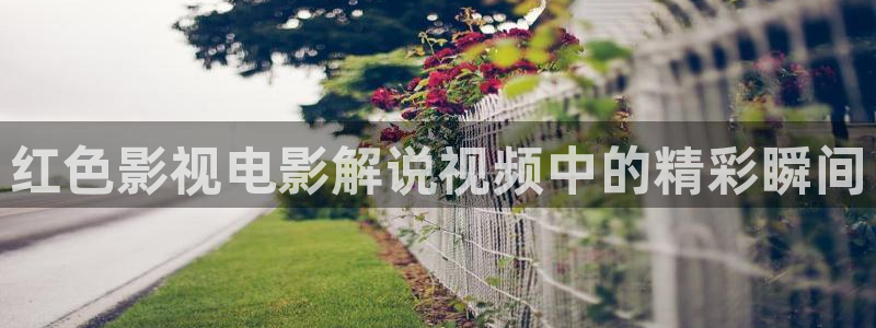奇优影院免费观看电视剧