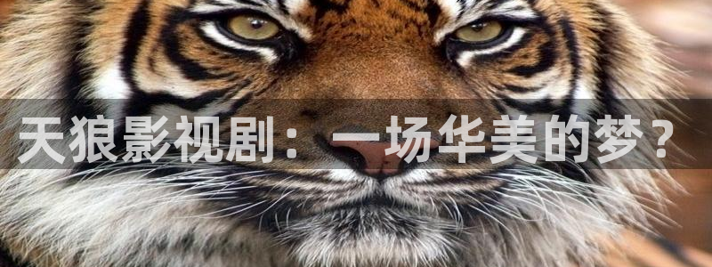 奇优影院6080
