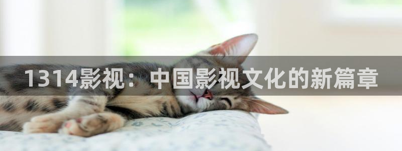 奇优影院电视在线观看：1314影视：中国影视文化的新篇章