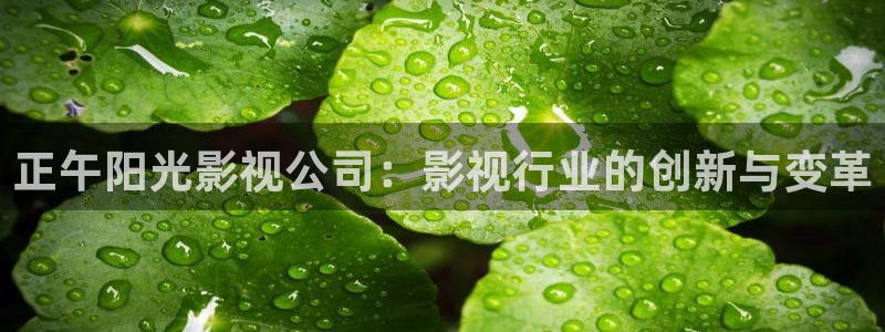 奇优影院手机版高清电视免费看：正午阳光影视公司：影视行业的创新与变革