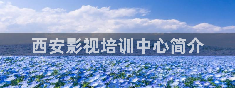 奇优影院电视网：西安影视培训中心简介
