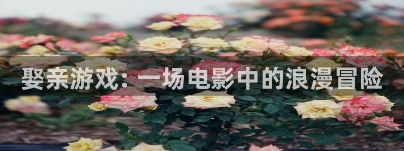 奇优影院手机免费观看全部电视剧：娶亲游戏: 一场电影中的浪漫冒险