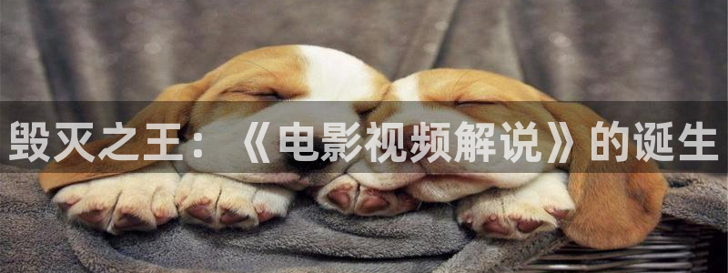 奇优影院绿色：毁灭之王：《电影视频解说》的诞生