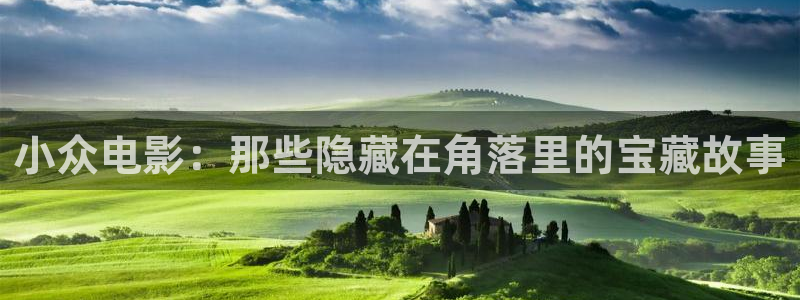 奇优影院大全免费追剧：小众电影：那些隐藏在角落里的宝藏故事