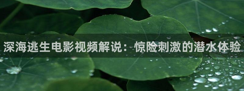 手机奇优影院：深海逃生电影视频解说：惊险刺激的潜水体验