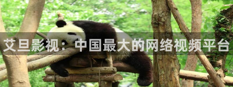奇优影院正版官方下载：艾旦影视：中国最大的网络视频平台