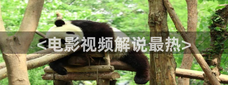 奇优影院黄金瞳