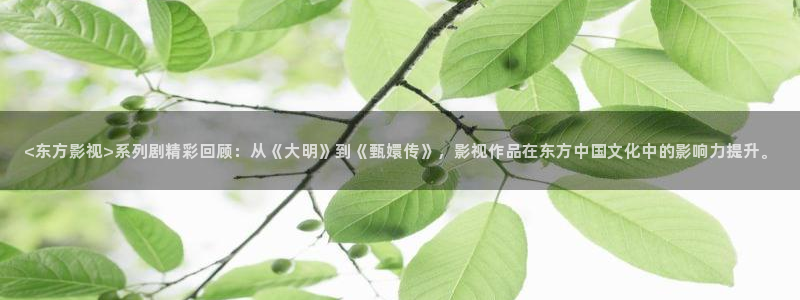奇优影院妈妈：<东方影视>系列剧精彩回顾：从《大明》到《甄嬛传》，影视作品在东方中国文化中的影响力提升。