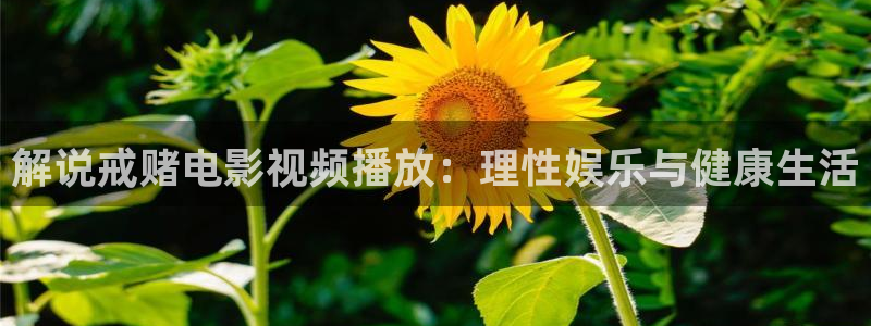 奇优影院手机在线观看：解说戒赌电影视频播放：理性娱乐与健康生活