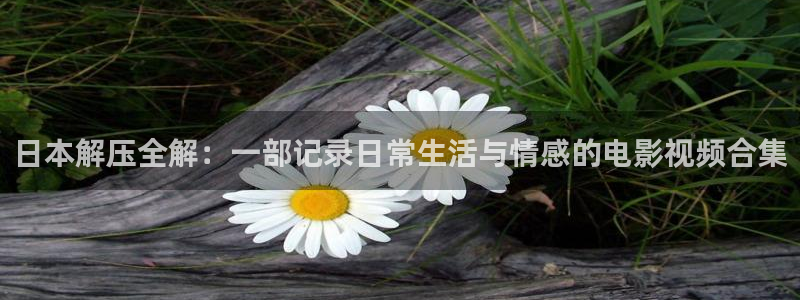 午夜奇优影院：日本解压全解：一部记录日常生活与情感的电影视频合集