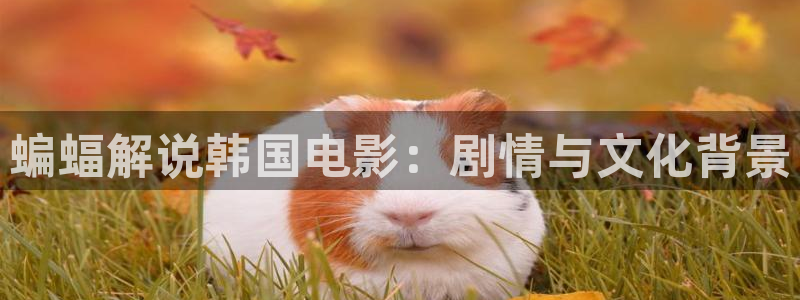 奇优影院在线观看mp4：蝙蝠解说韩国电影：剧情与文化背景