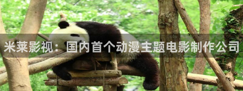 奇优影院在线观看电视剧免费：米莱影视：国内首个动漫主题电影制作公司