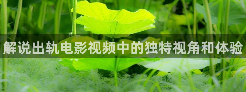 奇优影视手机版免费高清电视剧：解说出轨电影视频中的独特视角和体验