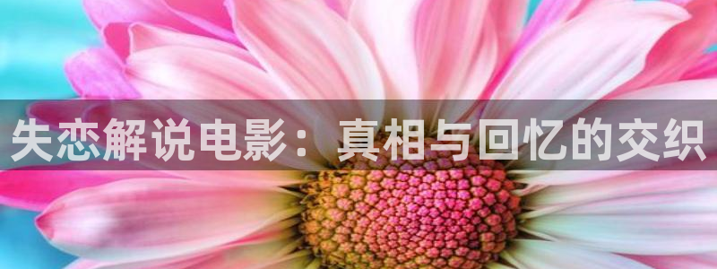 奇优影院手机在线看：失恋解说电影：真相与回忆的交织