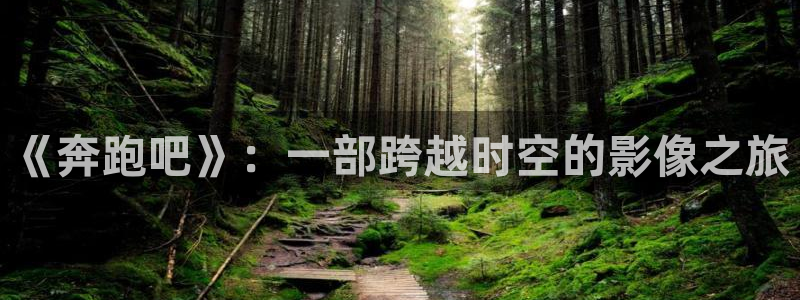 聚会的目的奇优影院：《奔跑吧》：一部跨越时空的影像之旅