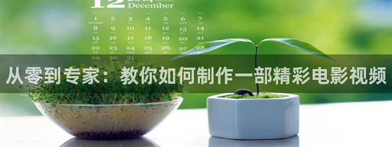奇优影院手机在线免费版电视剧